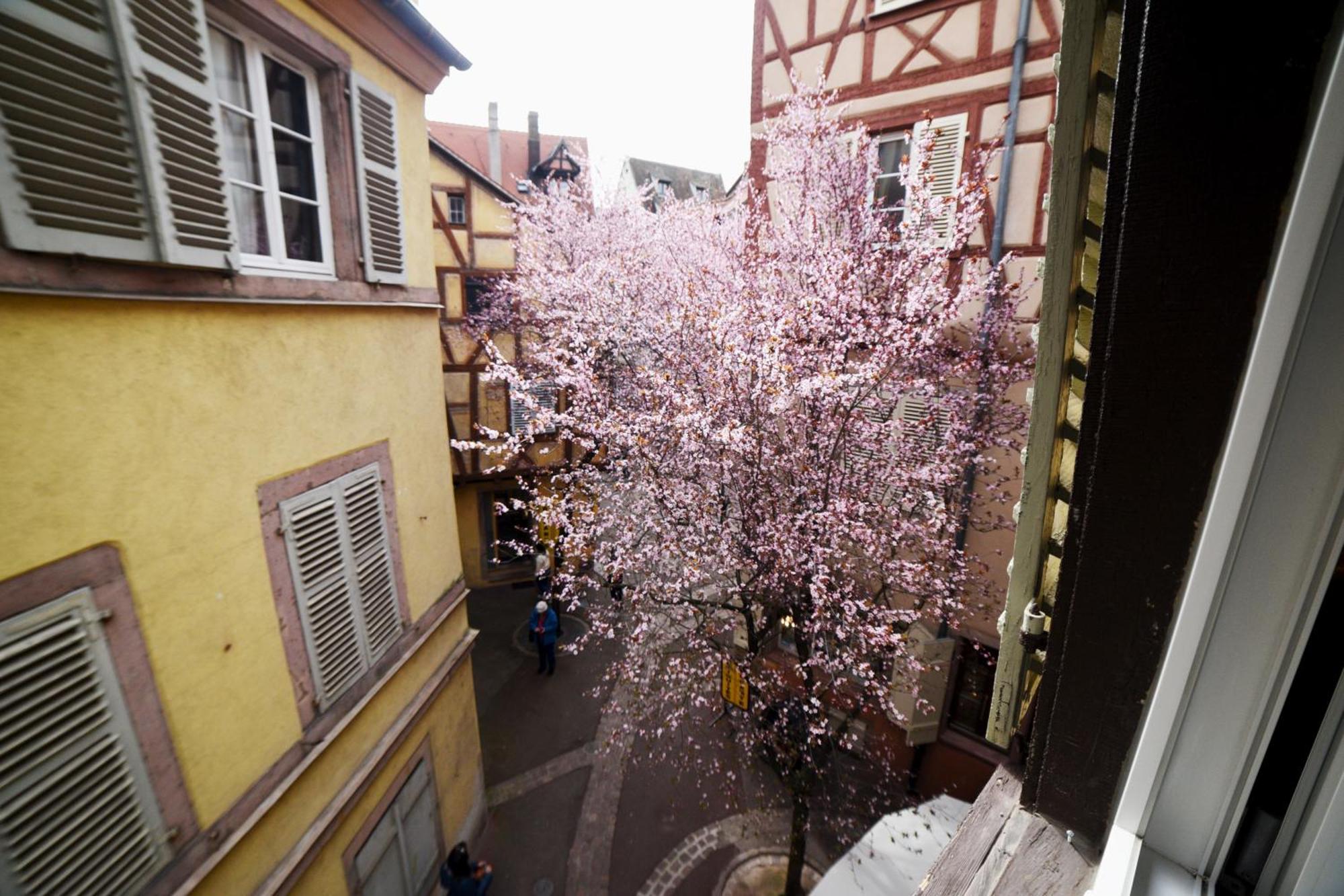 Gite Bim Maidala Colmar Eksteriør bilde